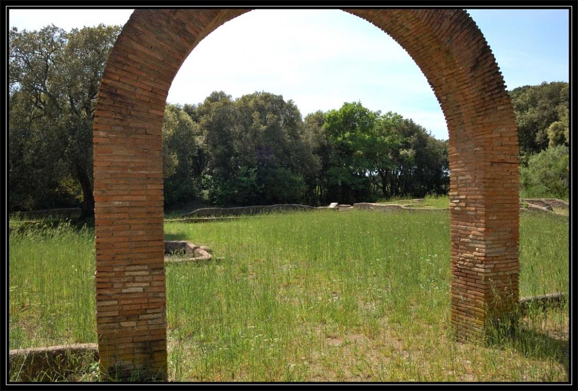 La Pineta di Castelfusano, la Via Severiana e la Villa di Plinio